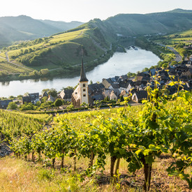 Blick auf die Ortsgemeinde Bremm Blick auf die Ortsgemeinde Bremm und die Weinberge.