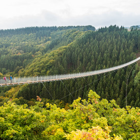 Die Hängeseilbrücke Geierlay im Hunsrück