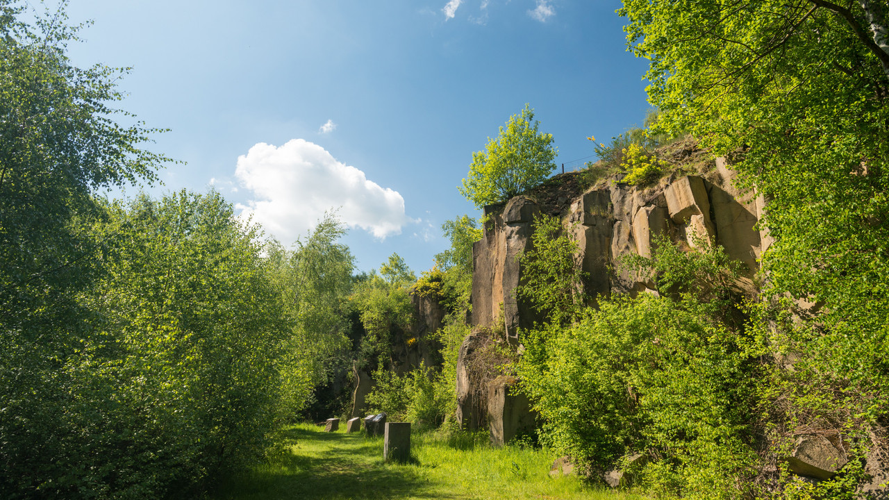 Felswand im Mayener Grubenfeld, einem ehemaligen Abbau-Gebiet für Basaltgestein