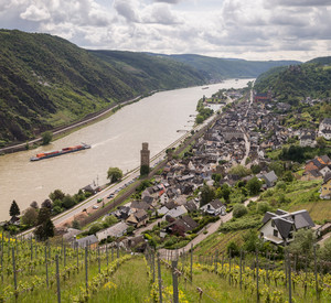 Blick auf das Mittelrheintal