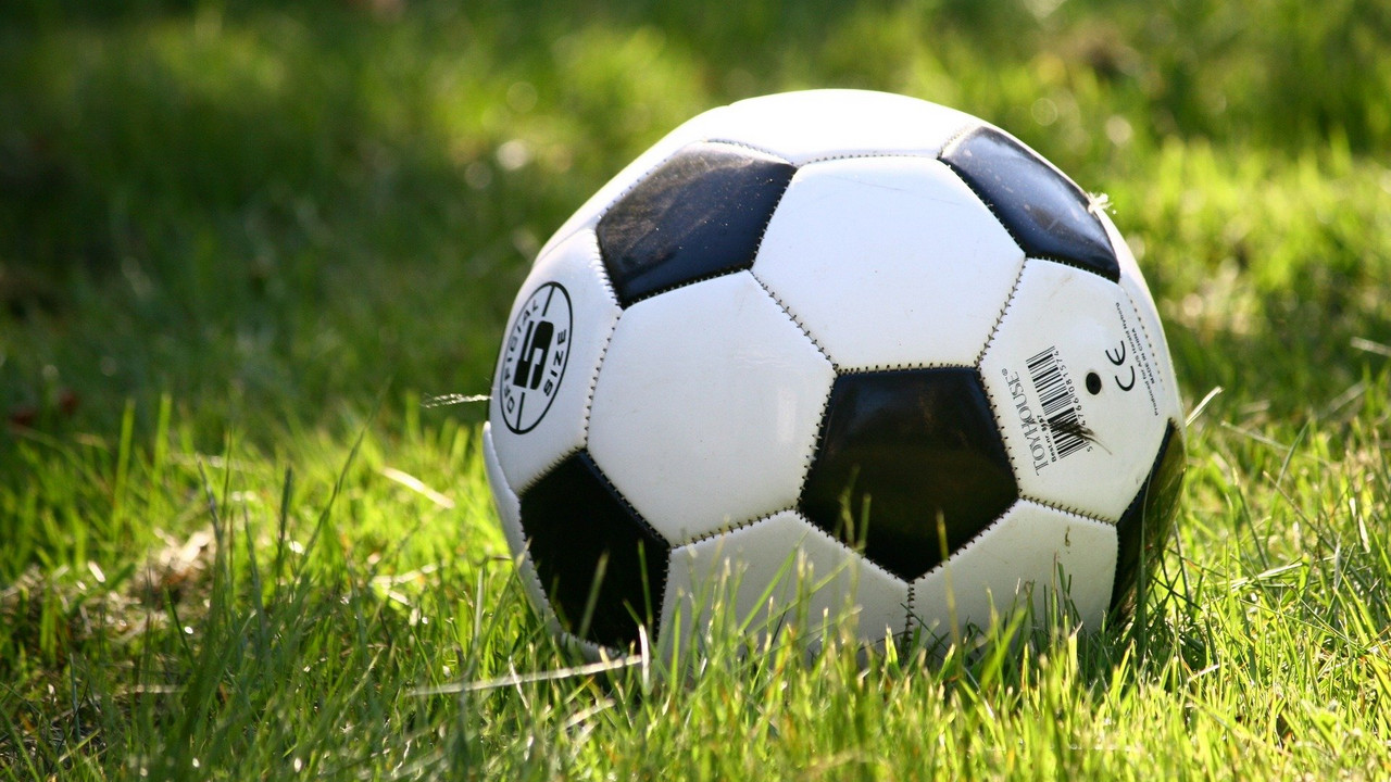 Fußball auf einer Wiese Fußball auf einer Wiese