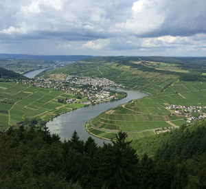 Blick ins Moseltal